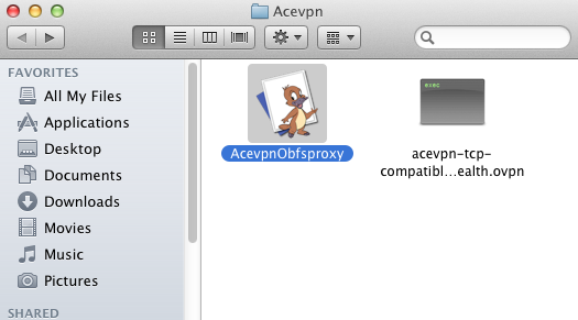 Unzip Acevpn files to desktop