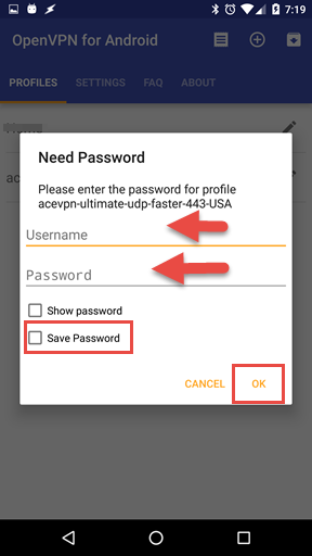 Input VPN username and password