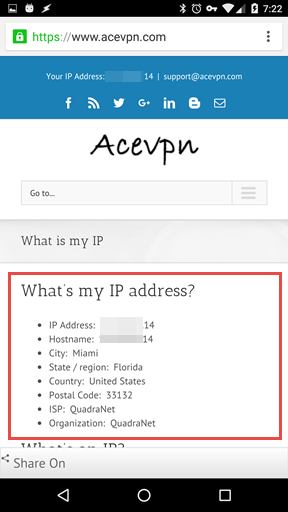 Verify VPN IP Address