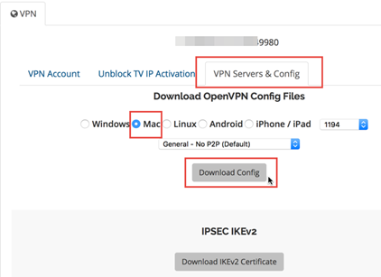 Download OpenVPN Config